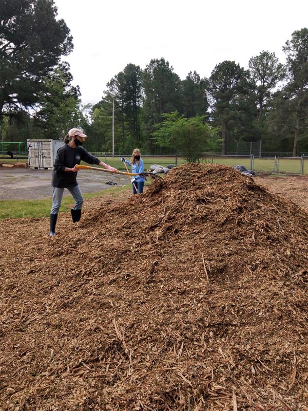 Service Day, Chicot